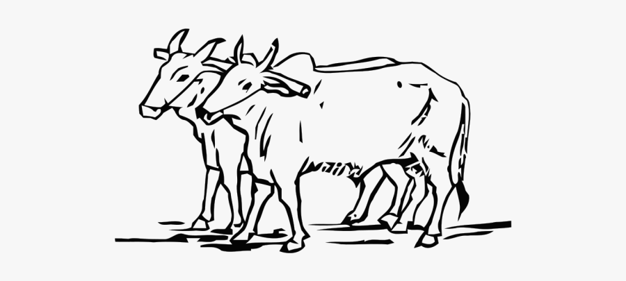 Ox Clipart Outline - Congress Symbol In 1952, Transparent Clipart