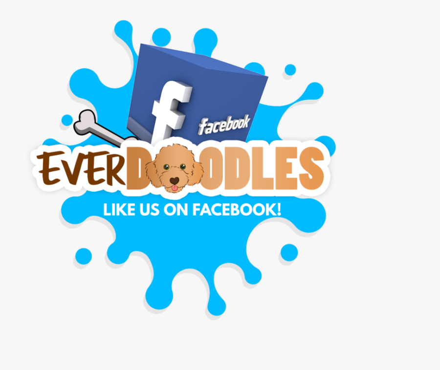 Graphic Design, Transparent Clipart