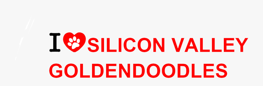 Gold Shield Smog Check, Transparent Clipart