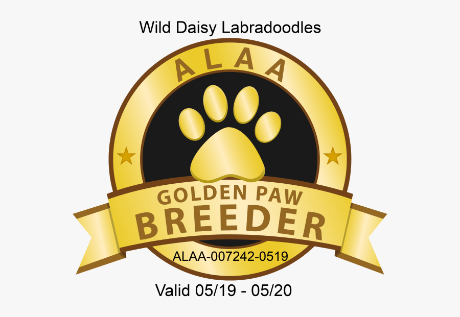 Gold Paw, Transparent Clipart