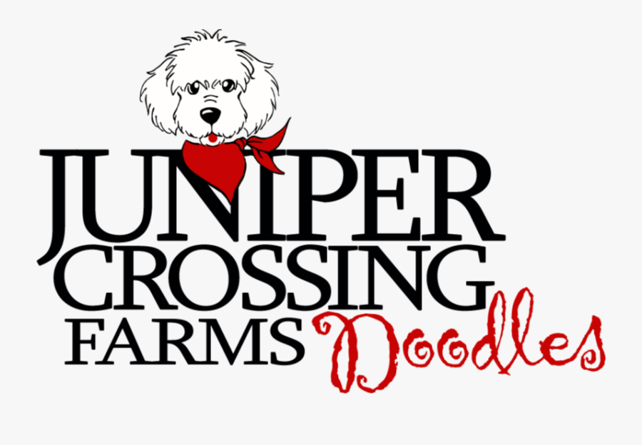 Joelle, Transparent Clipart