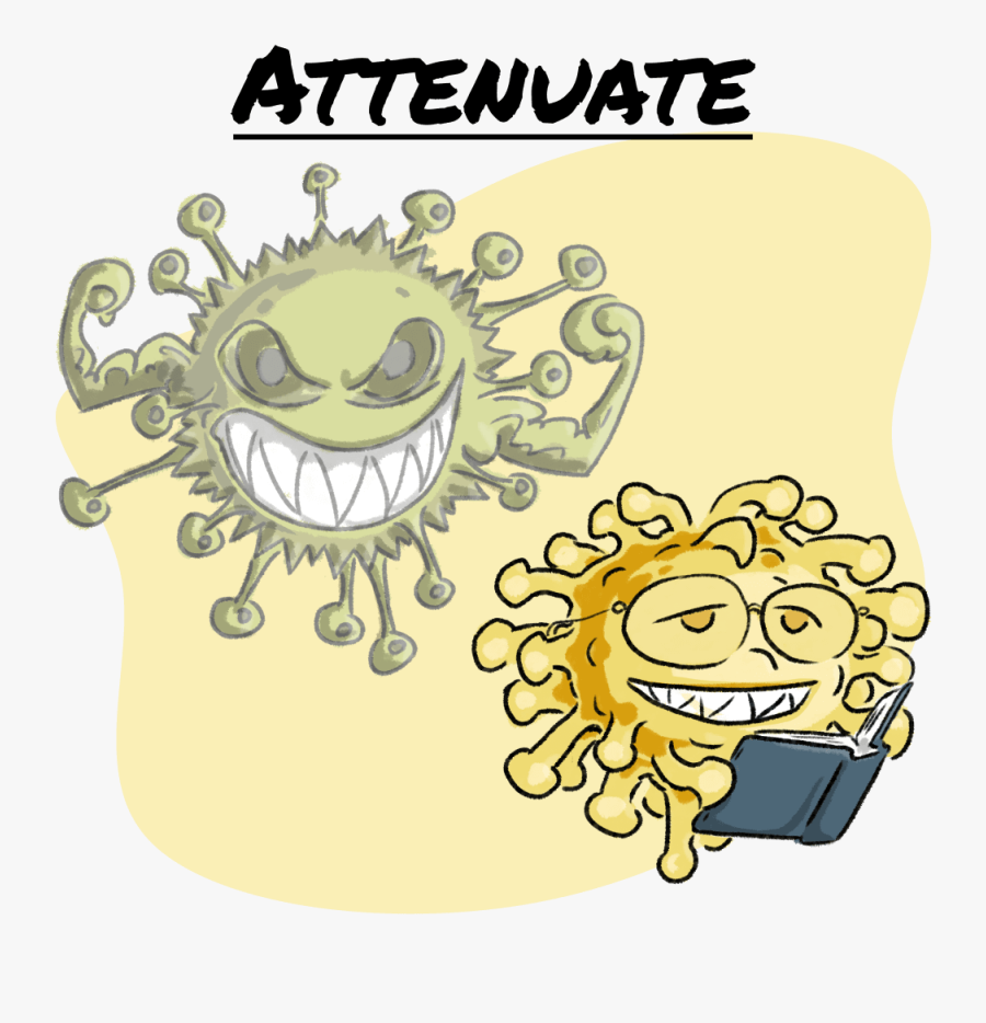 Attenuate, Transparent Clipart
