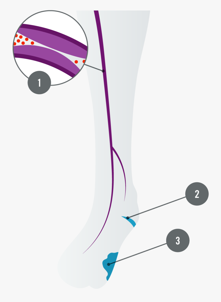 Illustration, Transparent Clipart