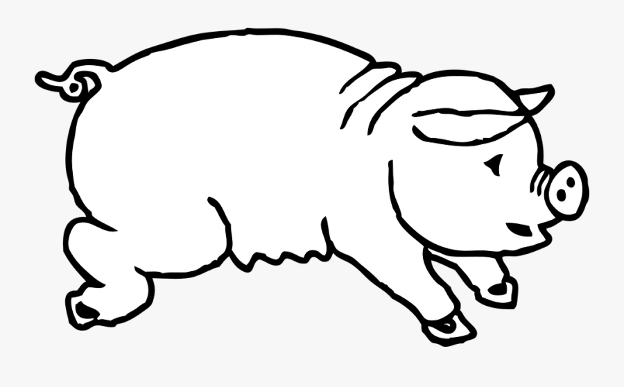 Pig, Jumping, Animal, Farm, Agriculture, Cute, Outlines - Pig Picture For Preschool, Transparent Clipart