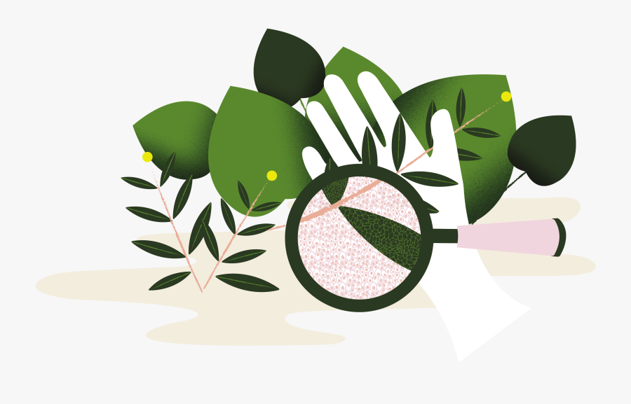 Illustration, Transparent Clipart