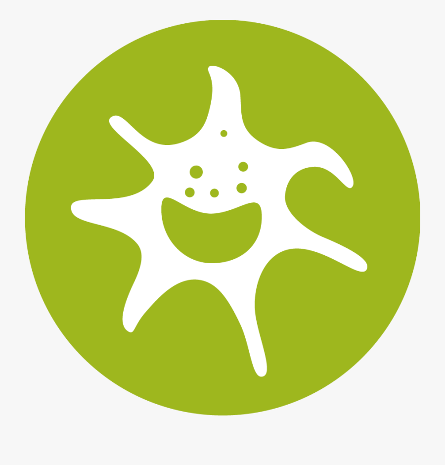 Placa De Mão Dupla, Transparent Clipart