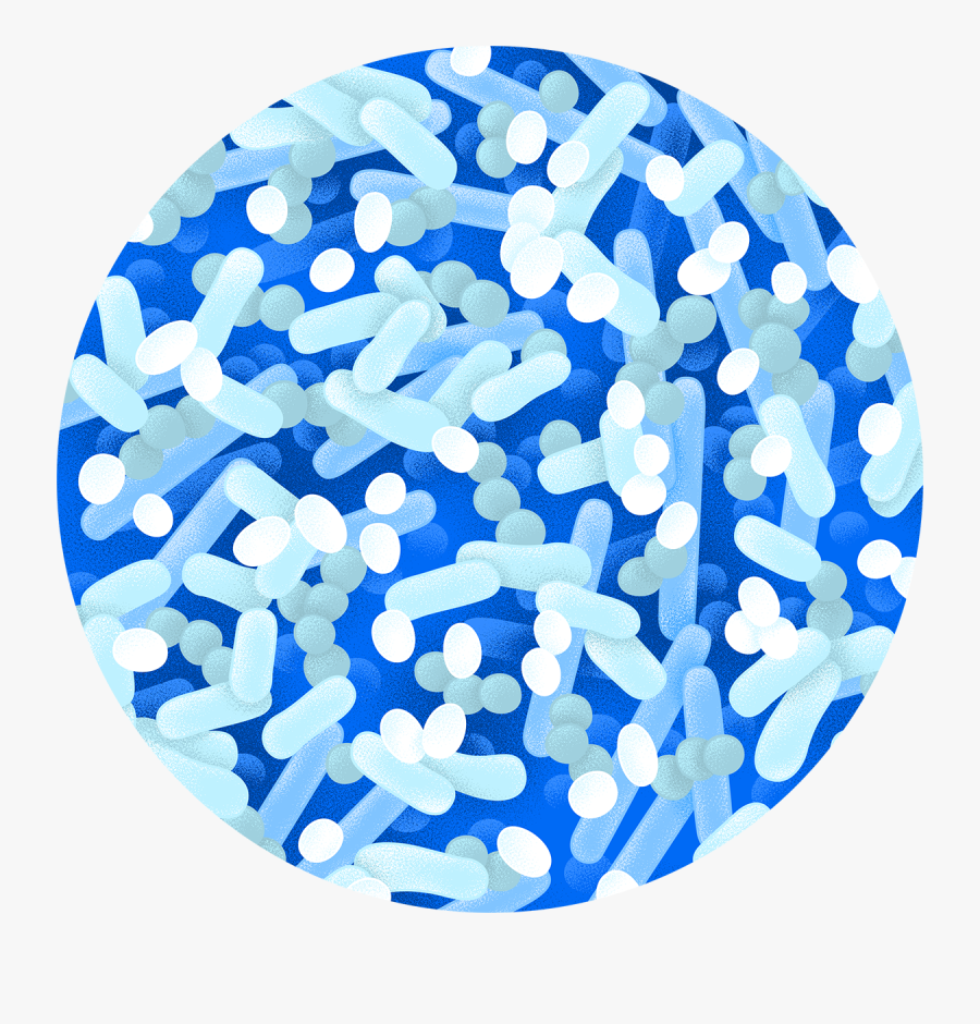 Circle, Transparent Clipart