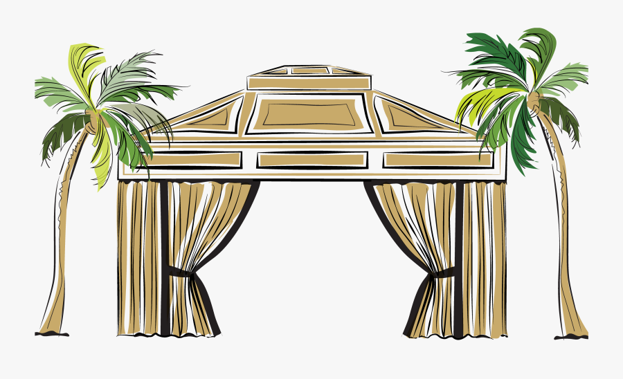 Palm Tree, Transparent Clipart