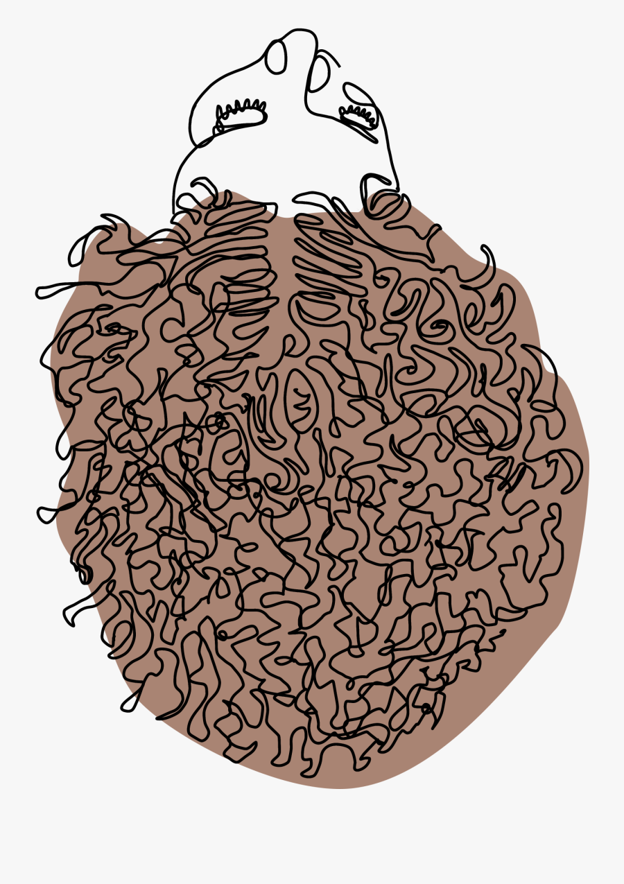 Illustration, Transparent Clipart