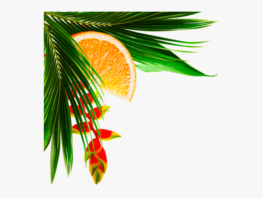 Budget Top Left 1"
 Width="600"
 Height="600"
 Class="object, Transparent Clipart