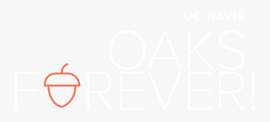 Image Of Uc Davis Oaks Forever Campaign Logo - Calligraphy, Transparent Clipart