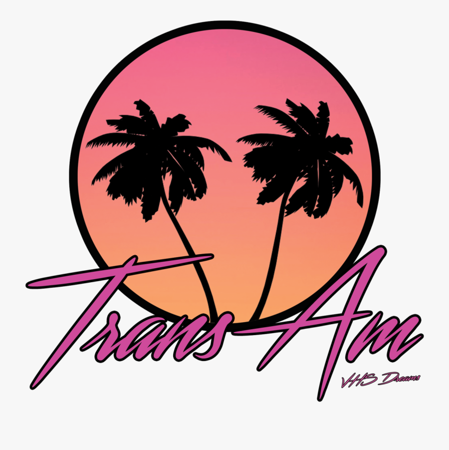 Palm Tree Vector Png, Transparent Clipart