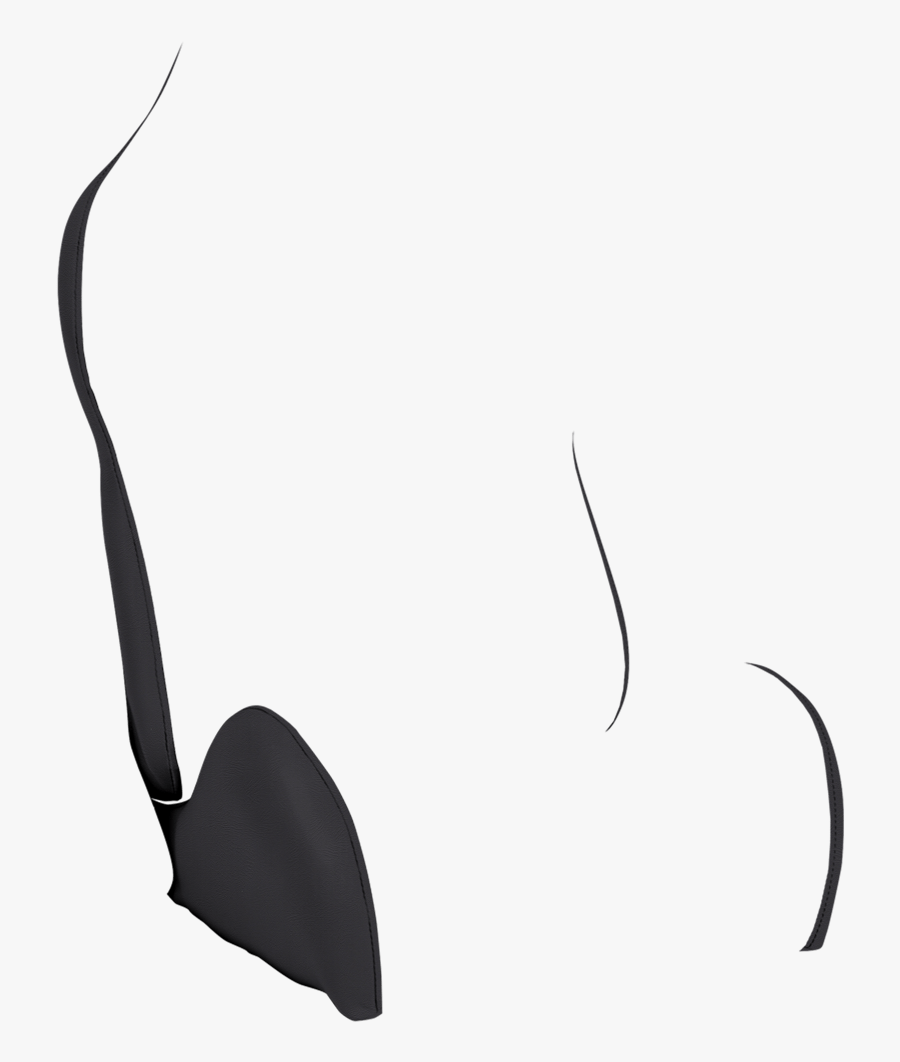 Sketch, Transparent Clipart