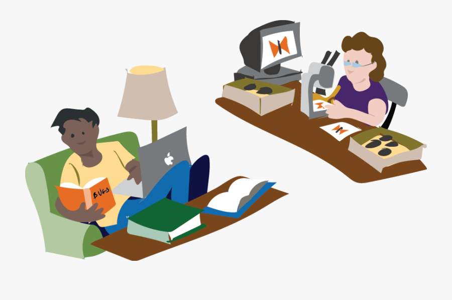 Make Observations, Transparent Clipart