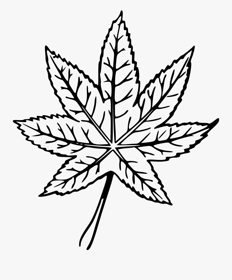 Mint Leaf Drawing - Drawn Pictures Of A Leaf, Transparent Clipart