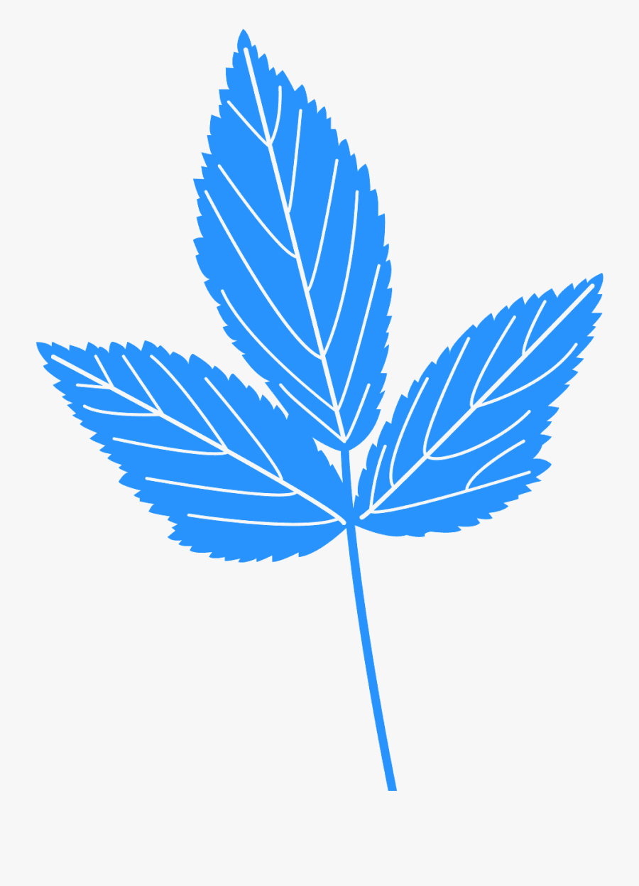 Menta Vector En Png, Transparent Clipart