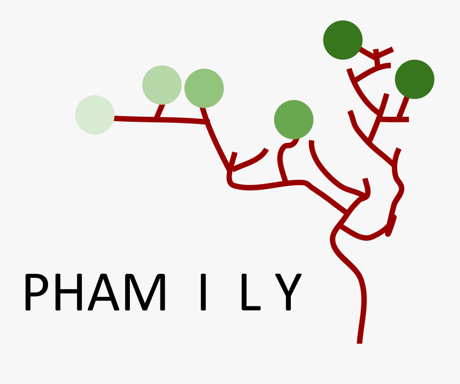 Circle, Transparent Clipart