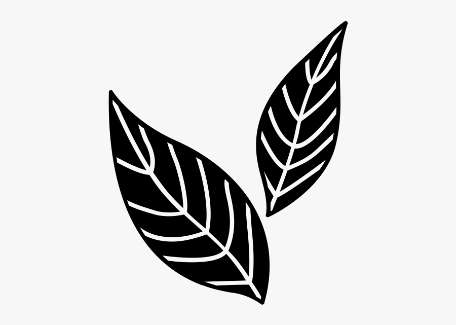 "
 Class="lazyload Lazyload Mirage Cloudzoom Featured - Mint Icon, Transparent Clipart