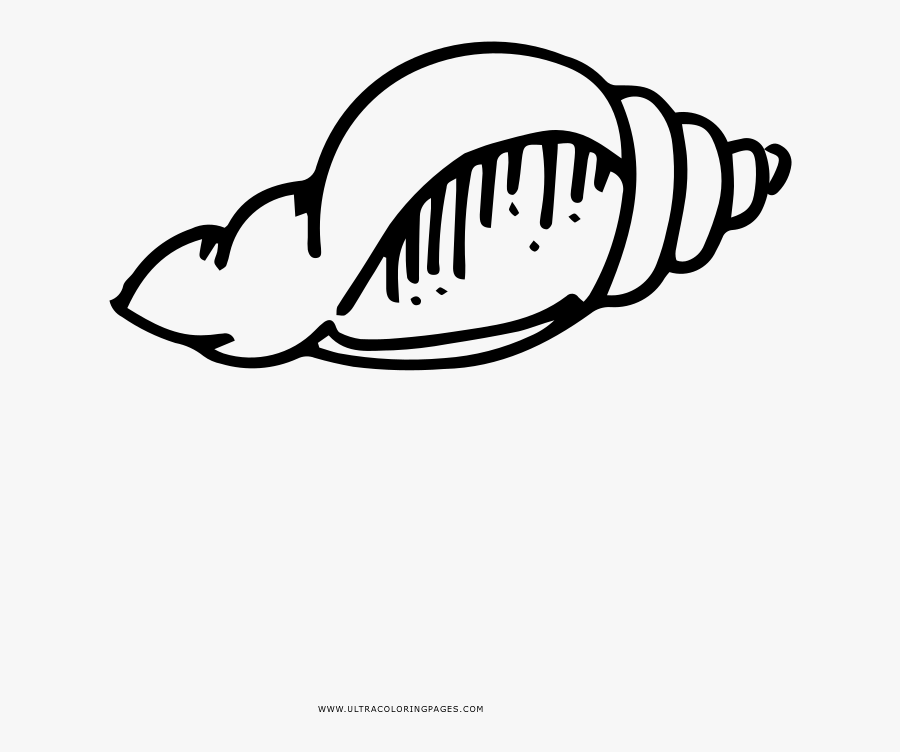 Magic Conch Coloring Page - Line Art, Transparent Clipart