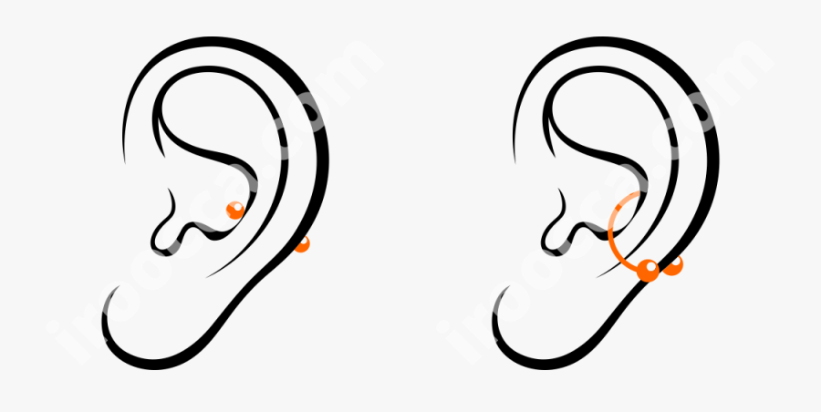 Clip Art, Transparent Clipart