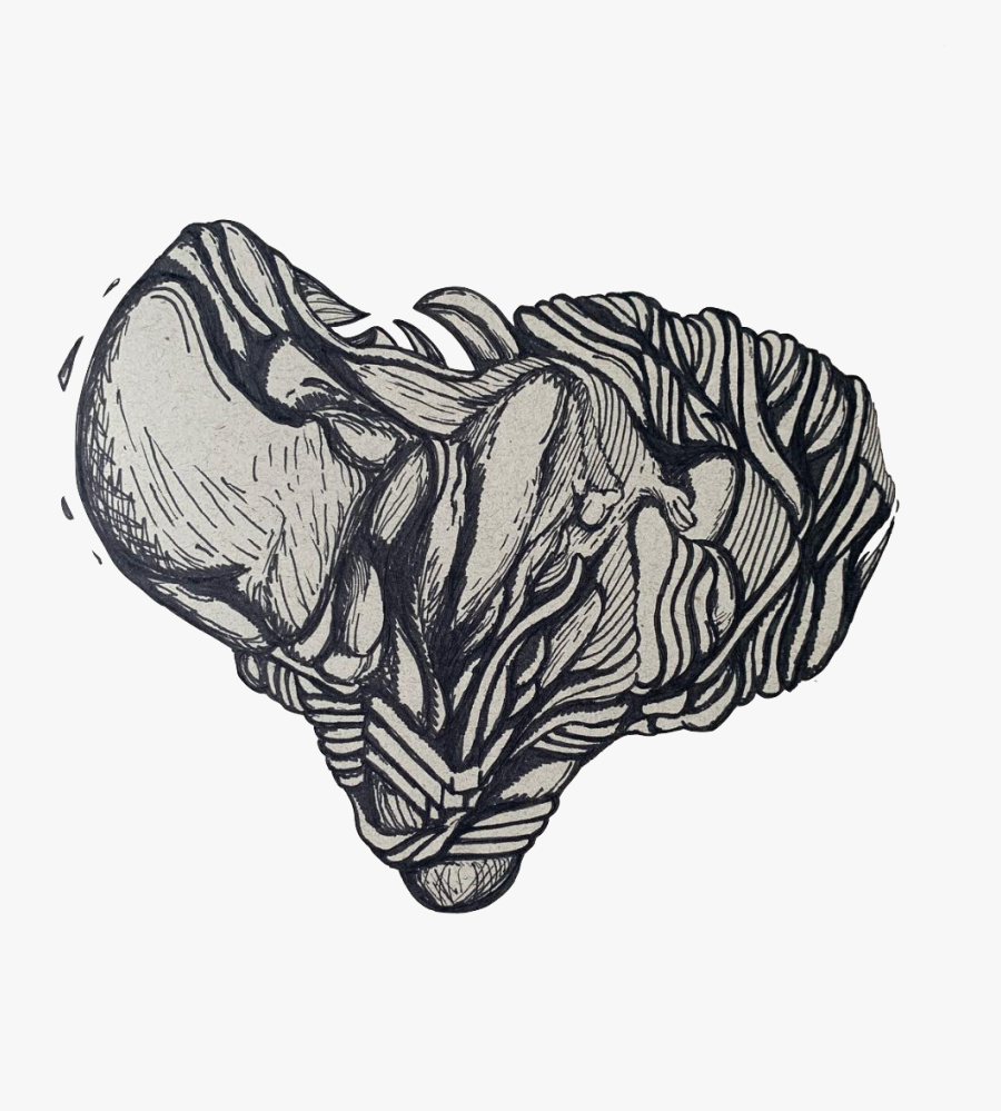 Illustration, Transparent Clipart