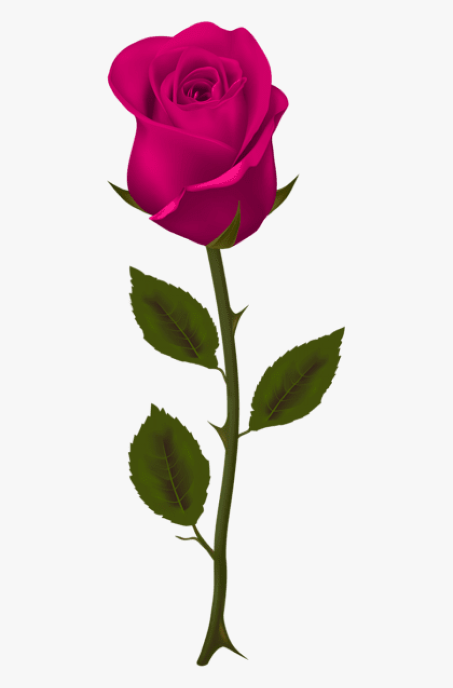 Free Png Download Pink Rose Png Images Background Png - Dark Red Rose Clipart, Transparent Clipart