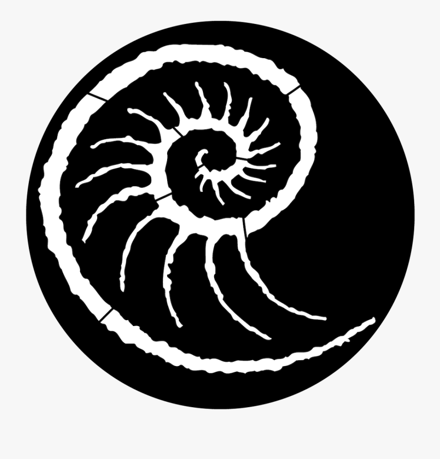 Apollo Sea Conch - Circle, Transparent Clipart