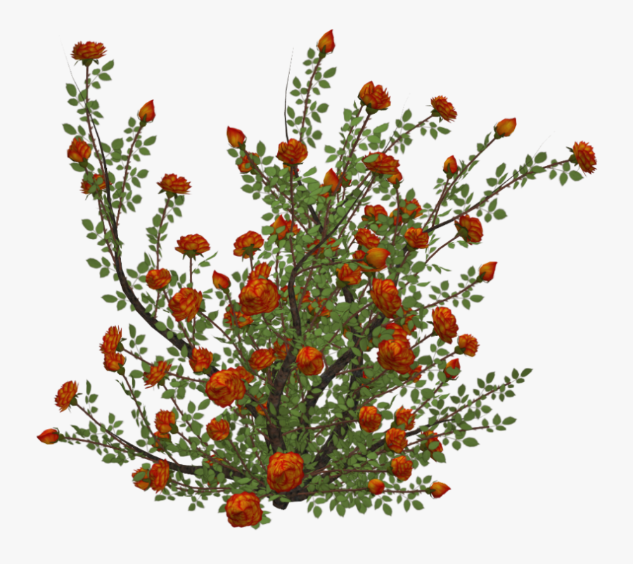 #flowers #roses #rosebush #bush - Orange Flower Bush Png, Transparent Clipart