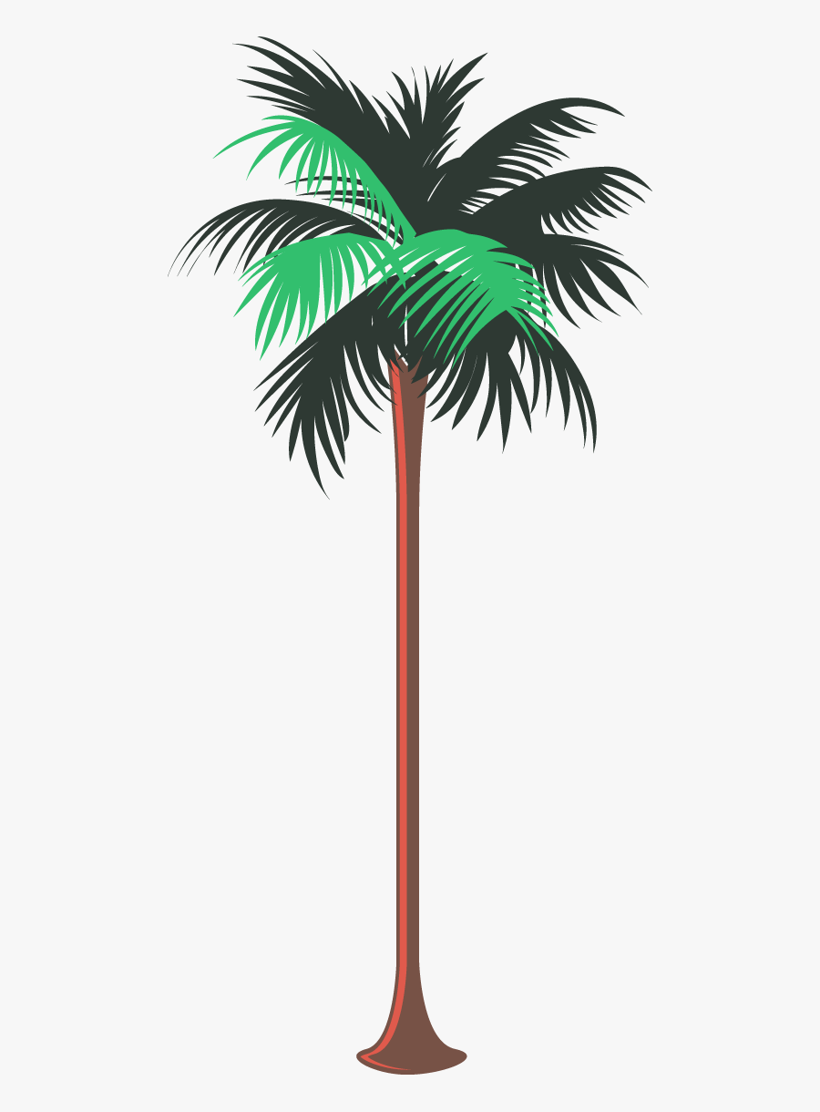 Roystonea, Transparent Clipart