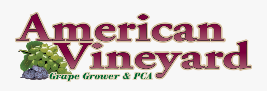 American Vineyard Magazine, Transparent Clipart