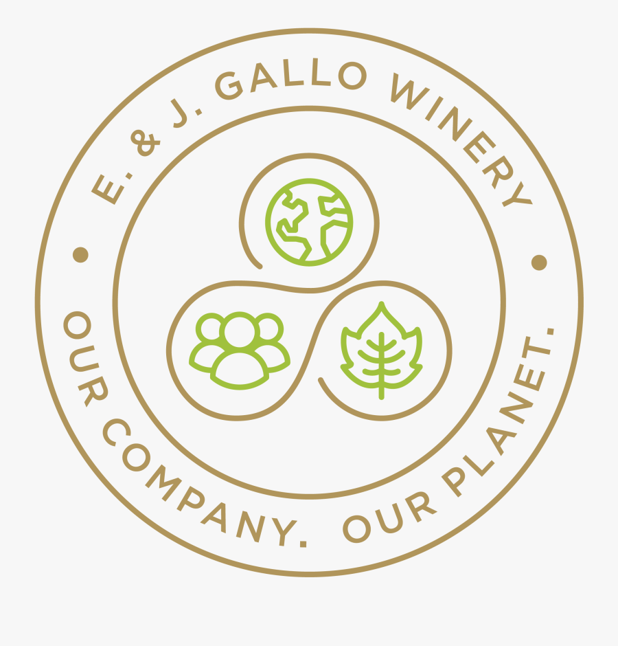 Circle, Transparent Clipart