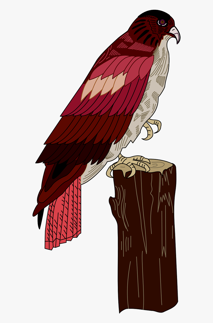 Red Bird Wings Free Picture - Portable Network Graphics, Transparent Clipart