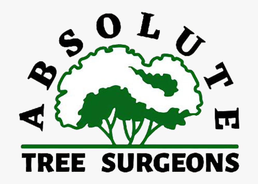 Absolute Tree Service, Transparent Clipart