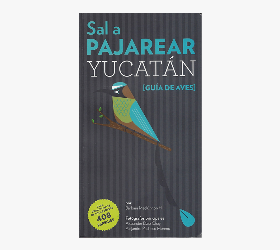 Drawing Diary Frida Kahlo - Parakeet, Transparent Clipart