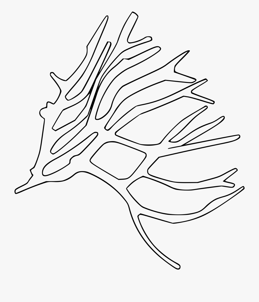 Sea Plant Clip Arts - Clipart Sea Plants Black And White Png, Transparent Clipart