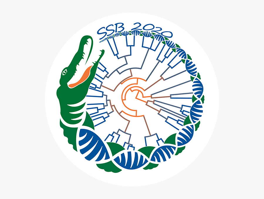 Circle, Transparent Clipart