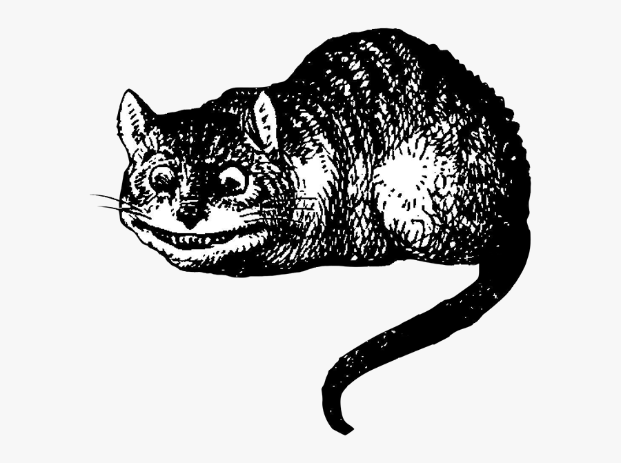 Join Us - Cheshire Cat Illustration In Alice And Wonderland, Transparent Clipart