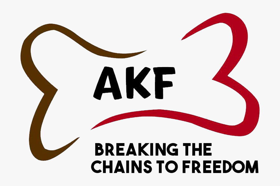 Animal Kingdom Foundation Inc - Animal Kingdom Foundation, Transparent Clipart