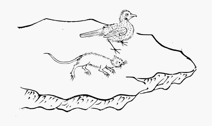 Line Art, Transparent Clipart