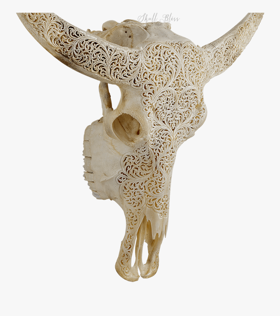 Clip Art Bulls Skull - Bull, Transparent Clipart