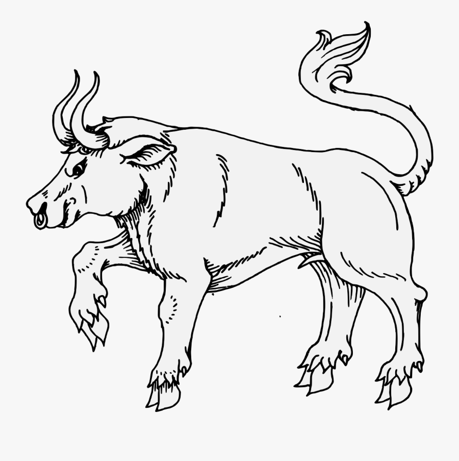 Line Art, Transparent Clipart