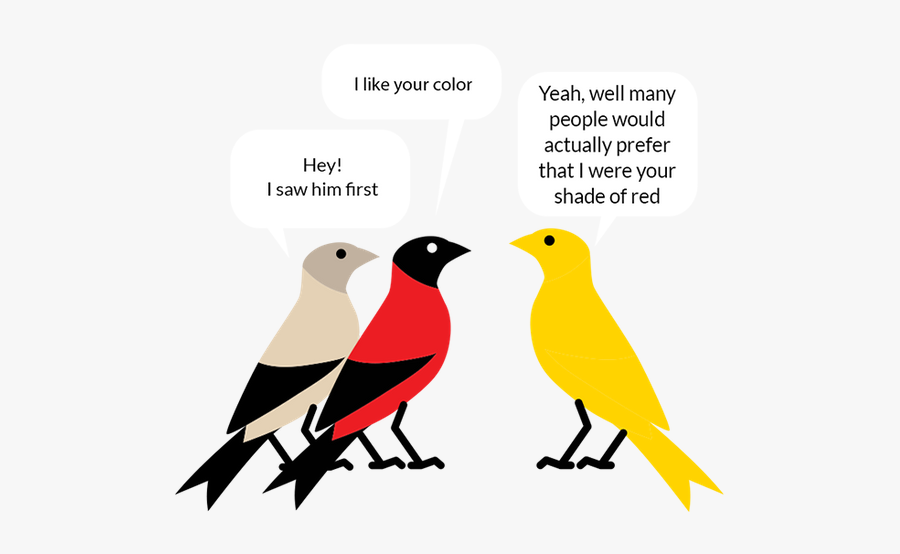 Finch, Transparent Clipart