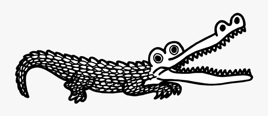 Open, Mouth, Scales, Teeth, Alligator - Crocodile Black And White Png, Transparent Clipart