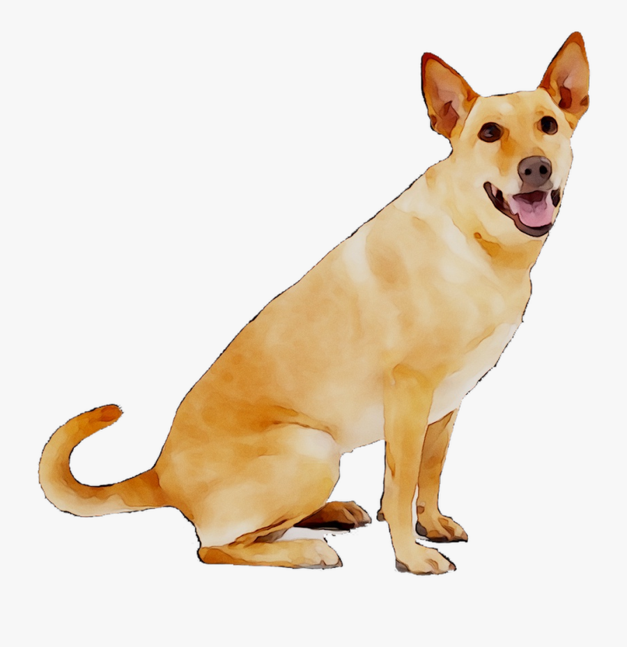 Luxe Petsafe Breed Dog Dogs Large Anti-barking Clipart - Bingpet Thunderstorm, Transparent Clipart