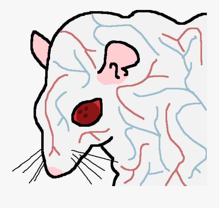 Clip Art, Transparent Clipart