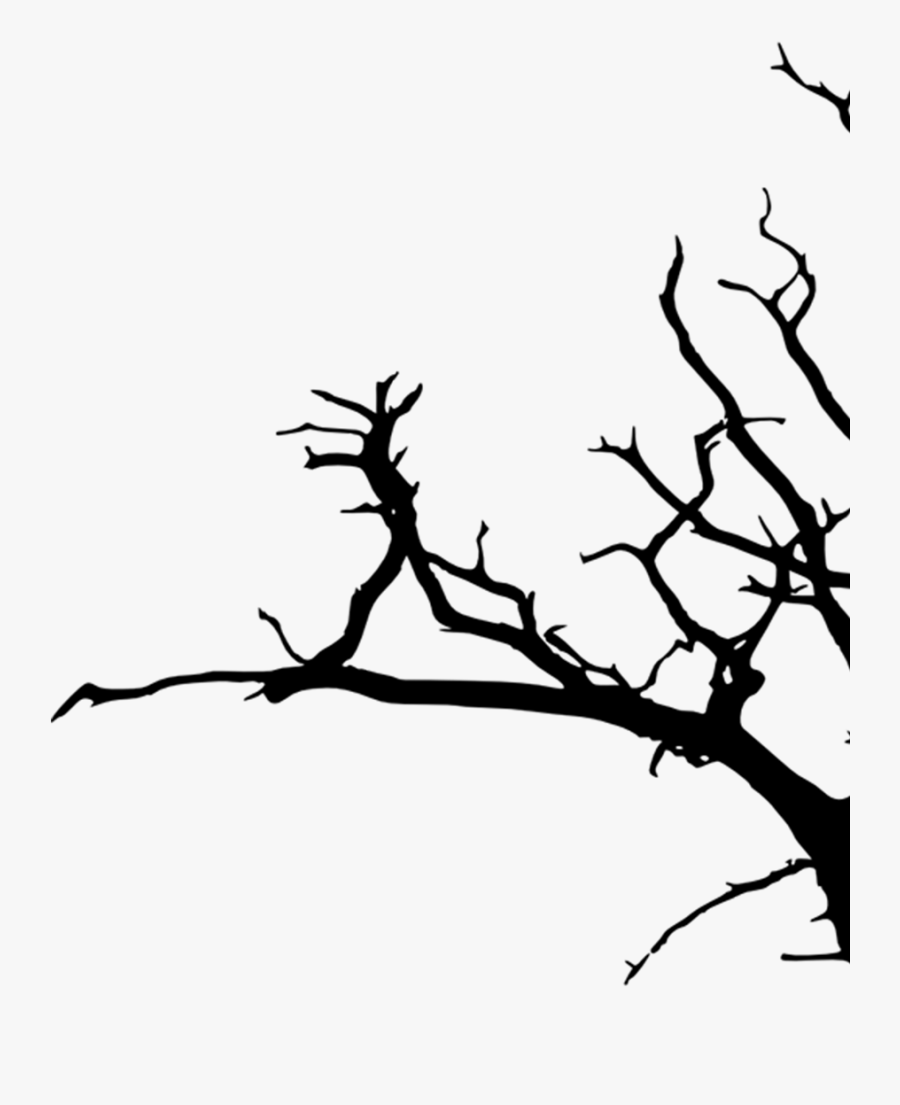 Drawing, Transparent Clipart