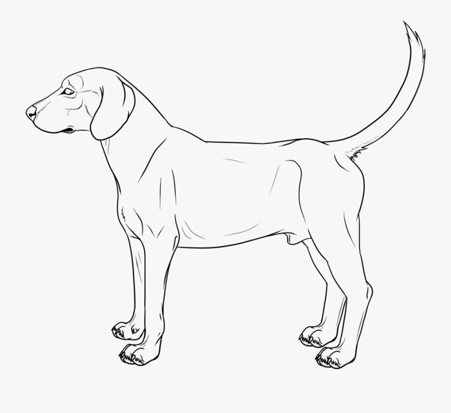 Hound Dog Lineart Cm By Galianogangster - Puppy, Transparent Clipart