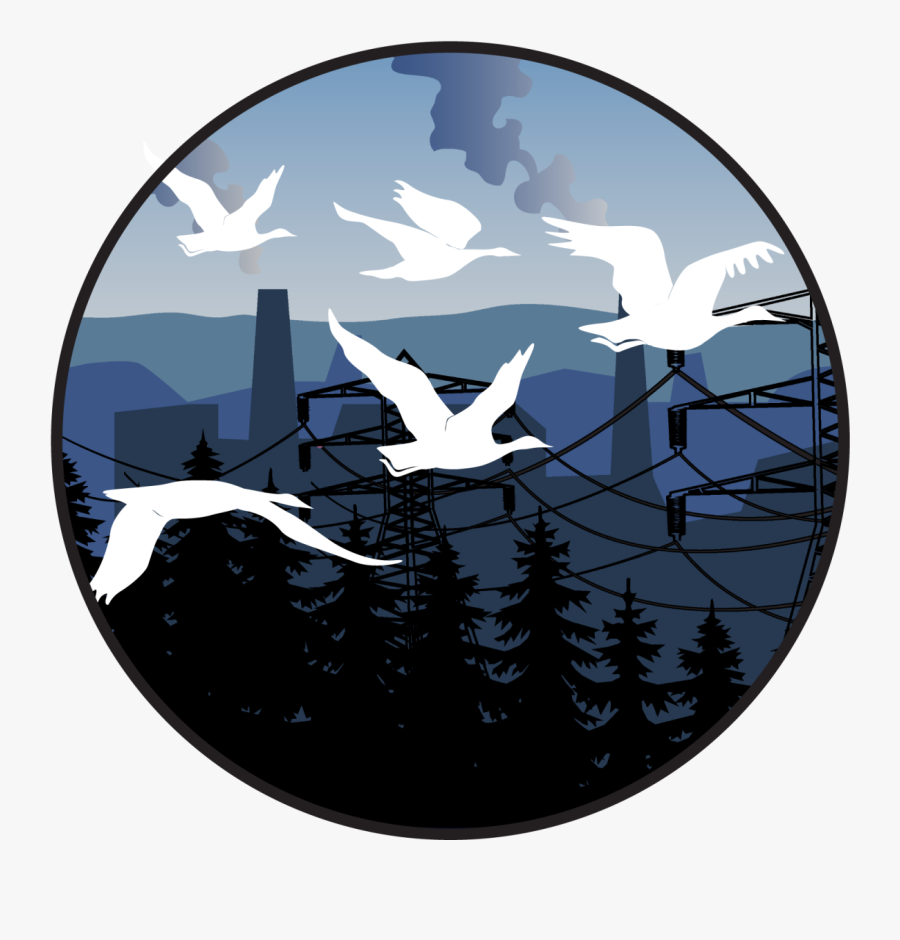 Geese Fly In V-formation Over A Landscape Of Diminishing - Circle