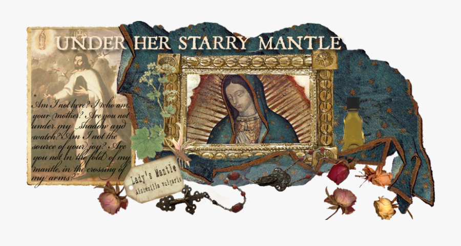 Under Her Starry Mantle - Basilica Of Our Lady Of Guadalupe, Transparent Clipart
