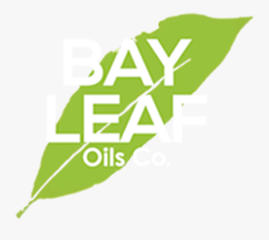 Olive Leaf - Illustration, Transparent Clipart